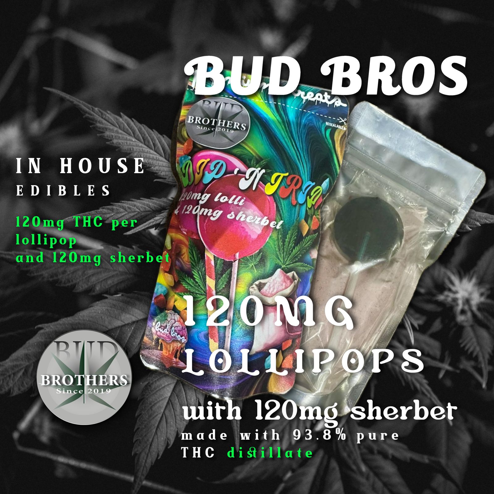 Bud Bros Lollipop Sherbet Dip 240mg